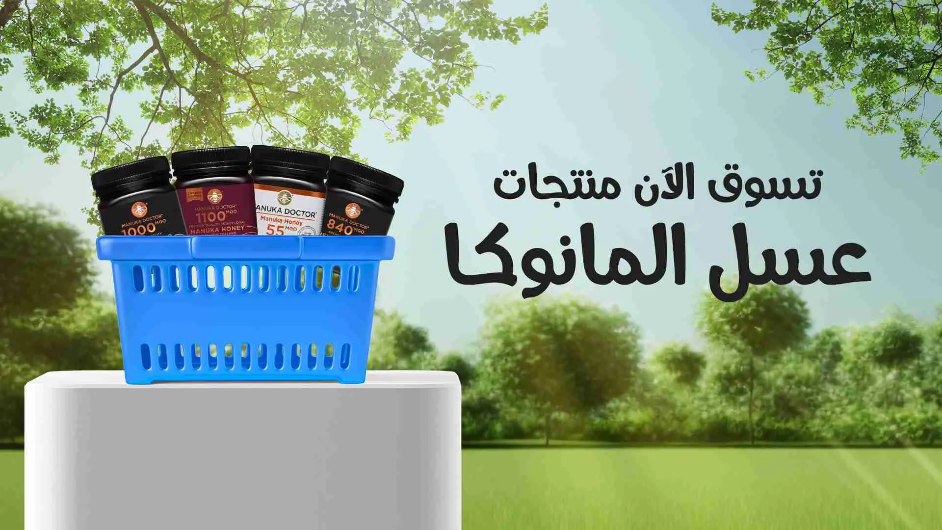 دليلك الشامل عن عسل المانوكا وفوائده المذهلة