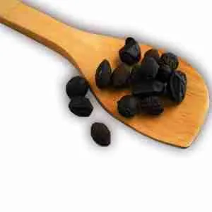  البلميط المنشاري