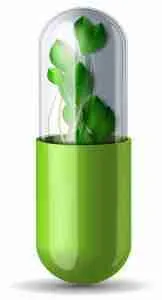 كبسولات التنحيف