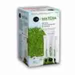 شاي الماتشا لخسارة الوزن الزائد بنكهة الفراولة تحتوي العبوة على 20 ظرف × 8 غرام