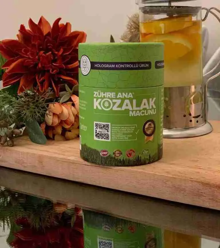 مخروط الصنوبر