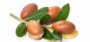 زيت الأركان