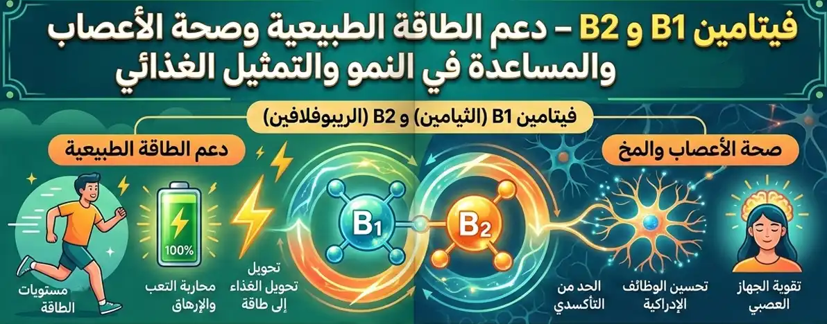 فيتامين B1 و B2 – دعم الطاقة الطبيعية وصحة الأعصاب والمساعدة في النمو والتمثيل الغذائي