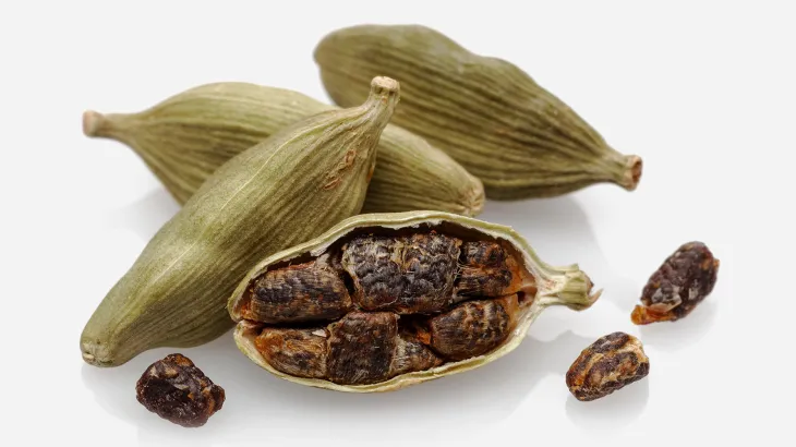 الهيل (الحبهان): السر العطري لدعم الهضم وتقليل الانتفاخ وتحفيز الراحة الطبيعية